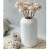 5 Piece Ceramic Bowls