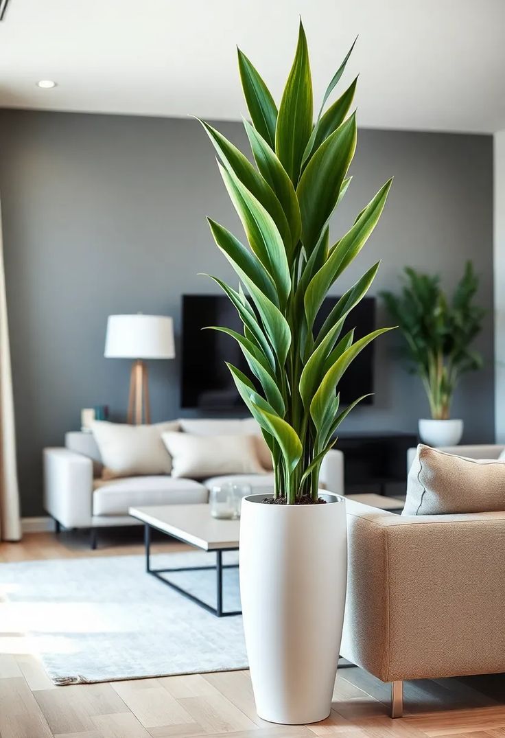 Artificial Plants