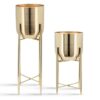 Decorative-Planters