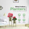 Decorative-Planters