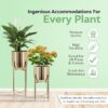 Decorative-PlantersDecorative-Planters