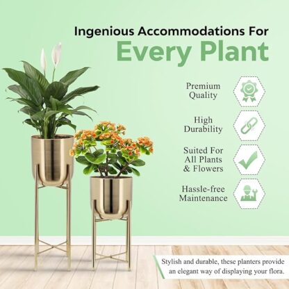 Decorative-PlantersDecorative-Planters