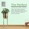 Decorative-Planters