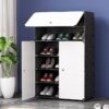 Shoe Rack Box Organizer