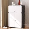 Shoe Rack Box Organizer