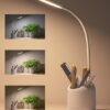 Study_lamp