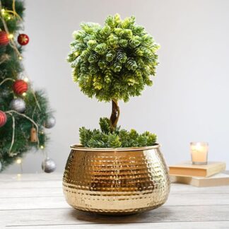 Golden Bowl Planter For Plant